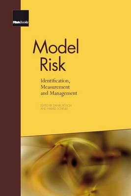 Model Risk: Identification, Measurement and Management