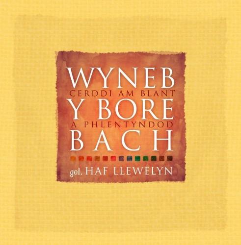 Wyneb y Bore Bach - Cerddi am Blant a Phlentyndod
