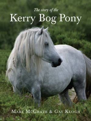Story of the Kerry Bog Pony