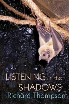 Listening in the Shadows