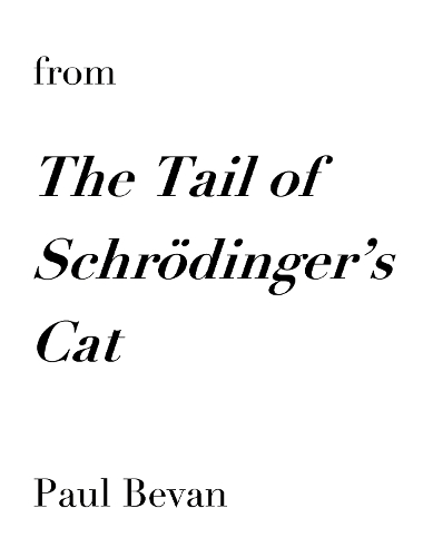 from The Tail of Schrödinger's Cat