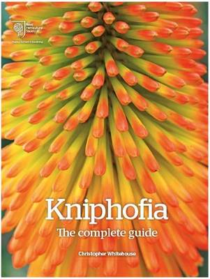 Kniphofia