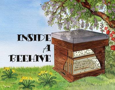 Inside a Beehive