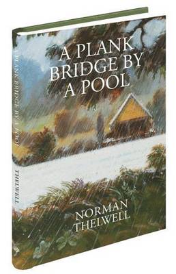 A Plank Bridge by a Pool