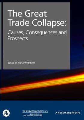 The Great Trade Collapse: Causes, Consequences and Prospects