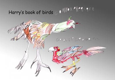 Harry's Book of Birds