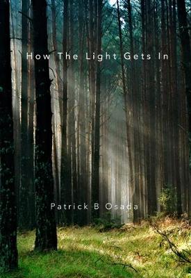 How the Light Gets In