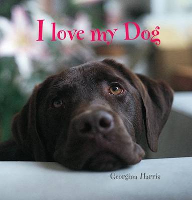 I Love My Dog