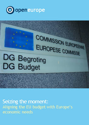 Seizing the Moment: Aligning the EU Budget with Europe's Economic Needs