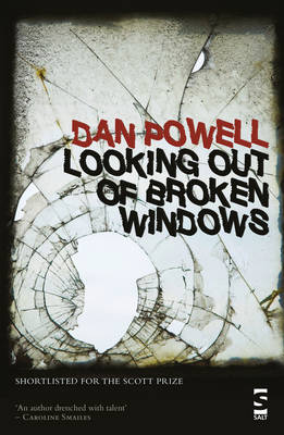 Looking Out Of Broken Windows