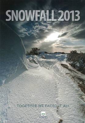 Snowfall 2013 2013