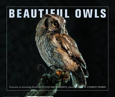 Beautiful Owls