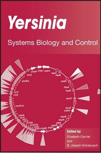 Yersinia