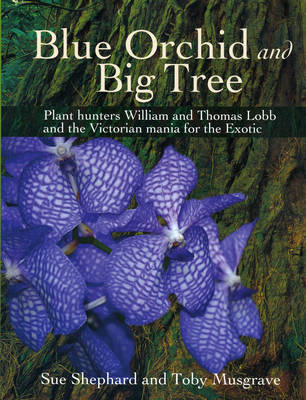 Blue Orchid and Big Tree