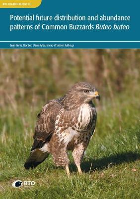 Potential future distribution and abundance patterns of Common Buzzards Buteo buteo