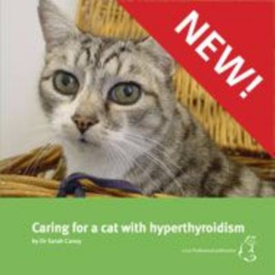 Caring for a Cat with Hyperthyroidism