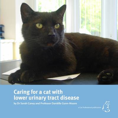Caring for a Cat with Lower Urinary Tract Disease