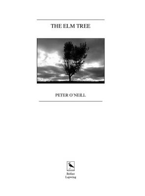 THE Elm Tree