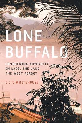 Lone Buffalo