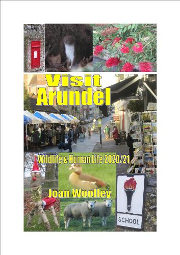 Visit Arundel