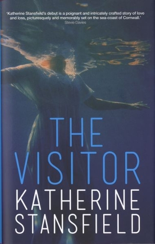 Visitor, The