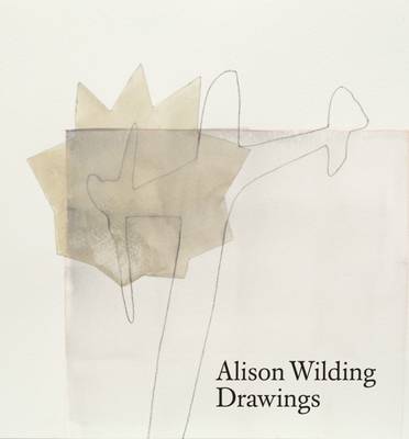 Alison Wilding