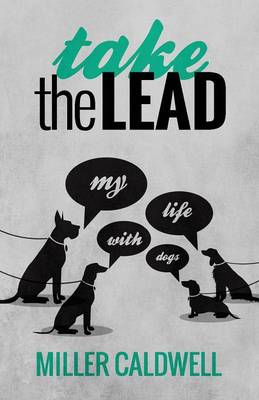 Take the Lead