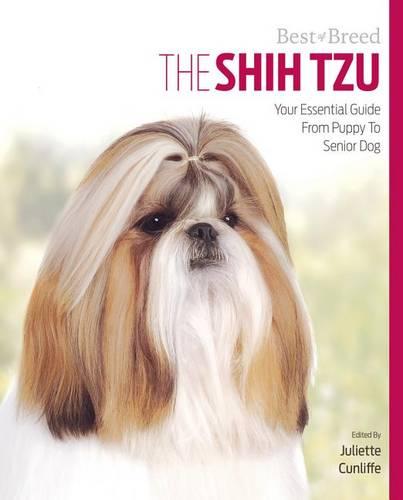 Shih Tzu Best of Breed
