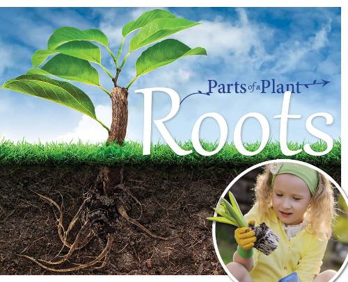 Roots