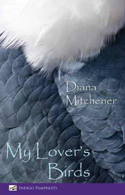 My Lover's Birds