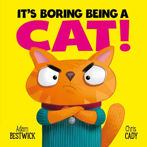 It's Boring Being A Cat