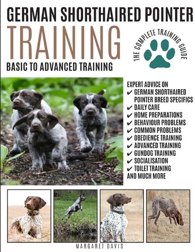 German Shorthaired Pointer Training