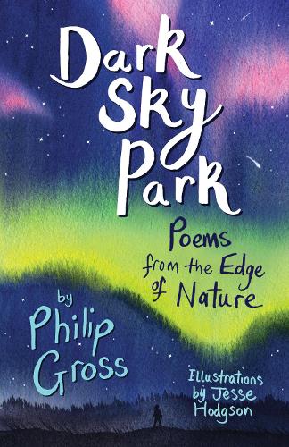 Dark Sky Park