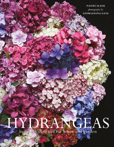 Hydrangeas by Naomi Slade