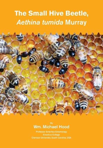 Aethina Tumida Murray Small Hive Beetle