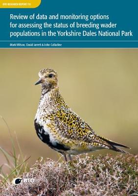 Review of data and monitoring options for assessing the status of breeding wader populations in the Yorkshire Dales National Park