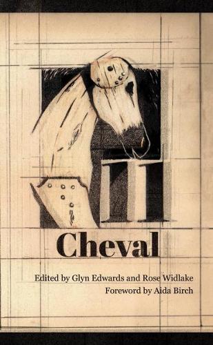 Cheval 11 - The Terry Hetherington Award Anthology 2018