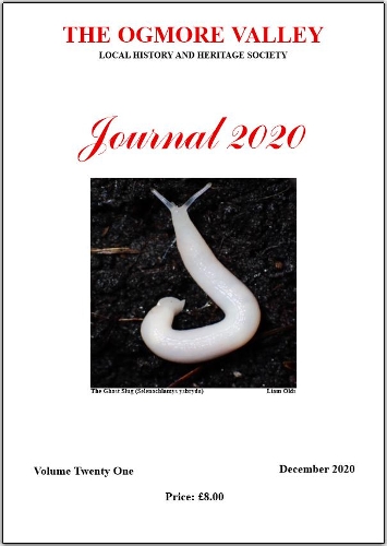 Journal 2020