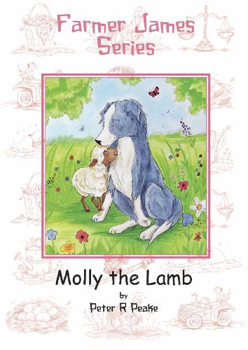 Molly the Lamb
