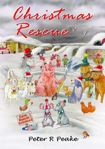 Christmas Rescue