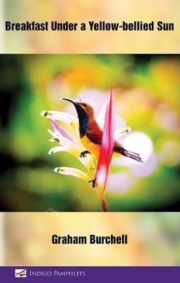 Breakfast Under a Yellow-Bellied Sun