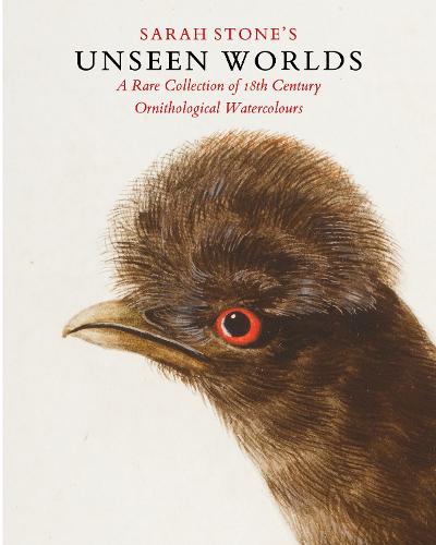 Sarah Stone’s Unseen Worlds