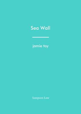 Sea Wall