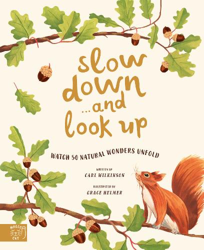 Slow Down... and Look Up