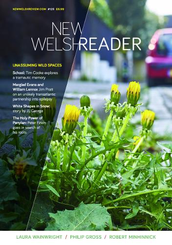 New Welsh Reader