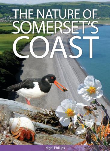 The Nature of Somerset's Coast