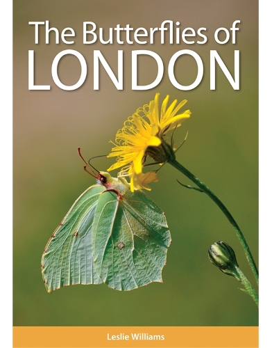 The Butterflies of London