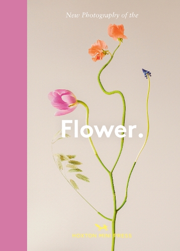 Flower.