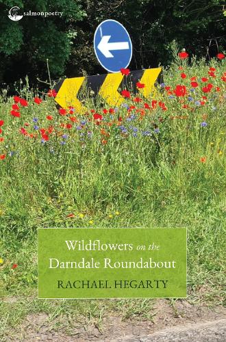 Wildflowers on the Darndale Roundabout