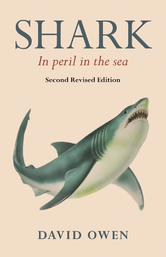 Shark